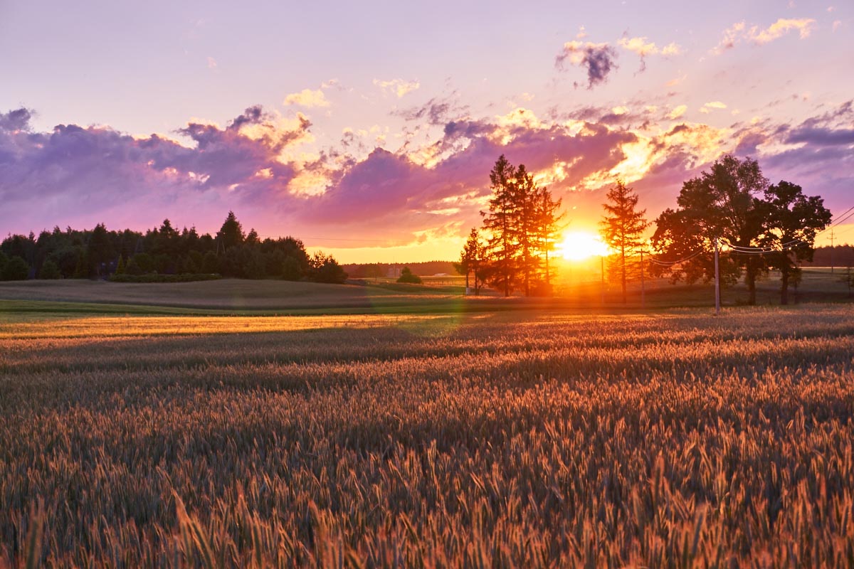 Sunset over the field in north Poland