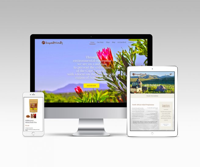 Website design & development